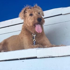 Meet your Posher, Millard joanne